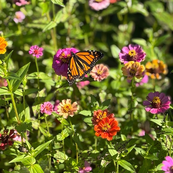 One word: BLESSED ππΌ - Picture 2 of 3